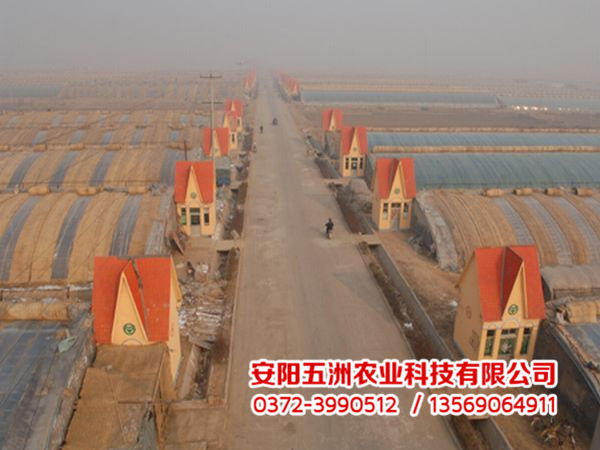 溫室大棚 溫室大棚